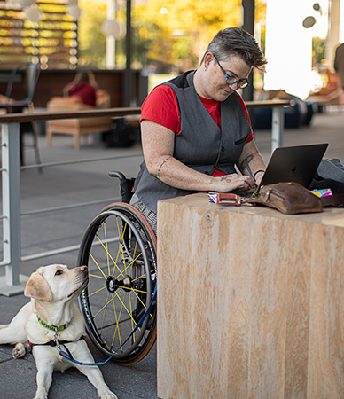 A person in a wheelchair works at an outdoor desk; her service dog lies at her feet.
