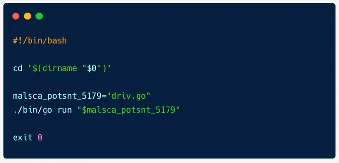 Bash script invoking the Go source file
