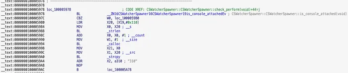 Debug console detection showing is_console_attached() call and error code 310 dispatch