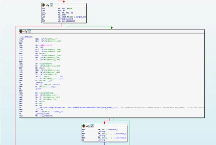 IDA graph view of the NEON write primitive