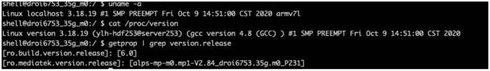 Terminal session showing the fake phone has kernel version 3.18.19 and Android version 6.0
