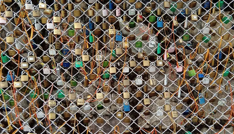 Padlocks linked to a fence.