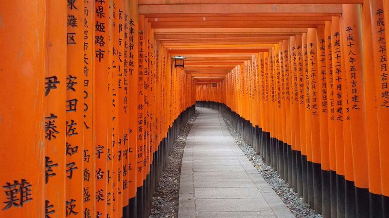 Japanese Tori gates protecting pathway to shrine.