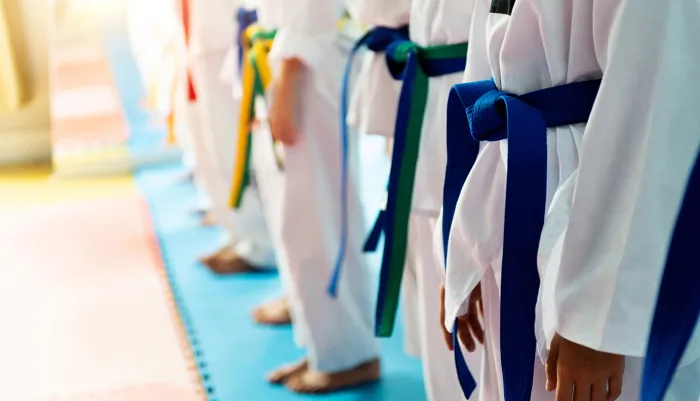 Taekwondo students wearing different colored belts represent the differing solutions that make up a defense-in-threat strategy.