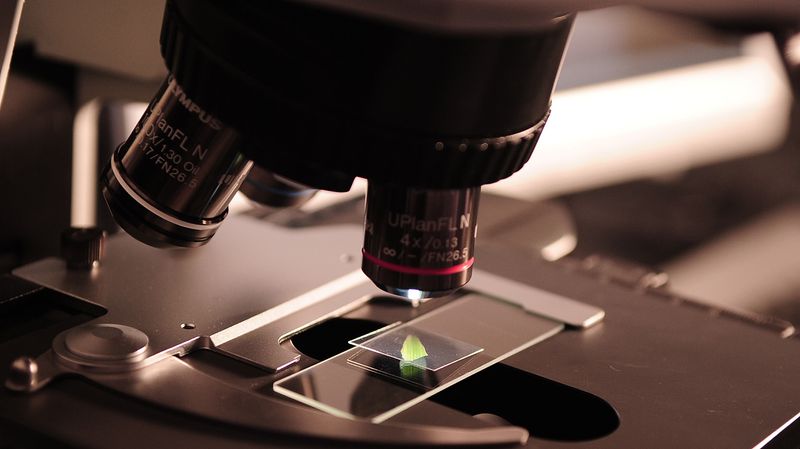 Microscope examining virus strain upclose