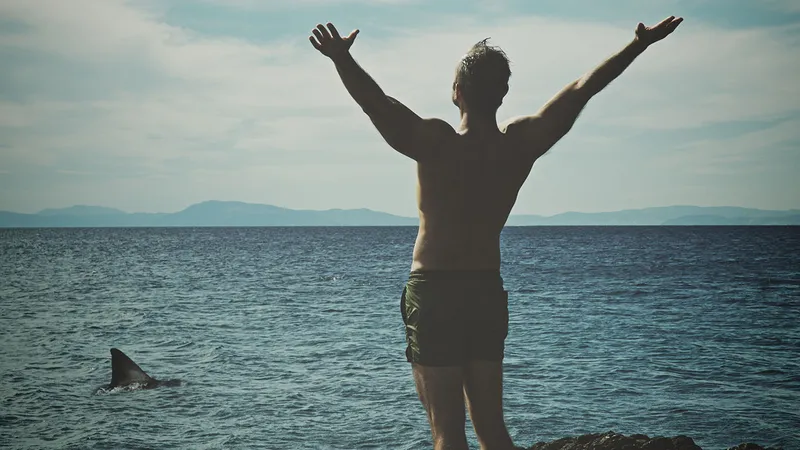 Individual standing near the water while a shark swims by