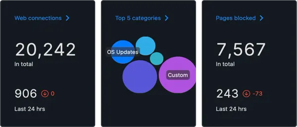 An image showing 20,242 web connections, top 5 categories, and pages blocked.