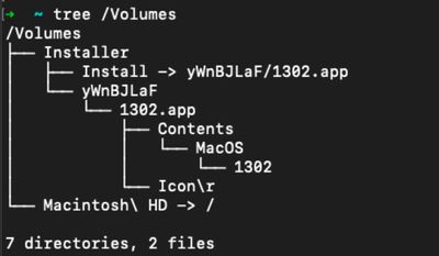 File structure of the DMG installer for the malicious application.